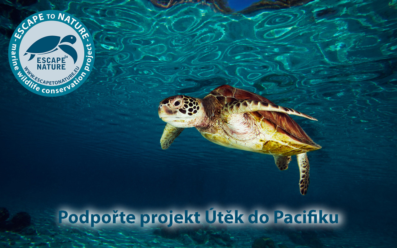 Útěk do Pacifiku - Papua Nová Guinea
