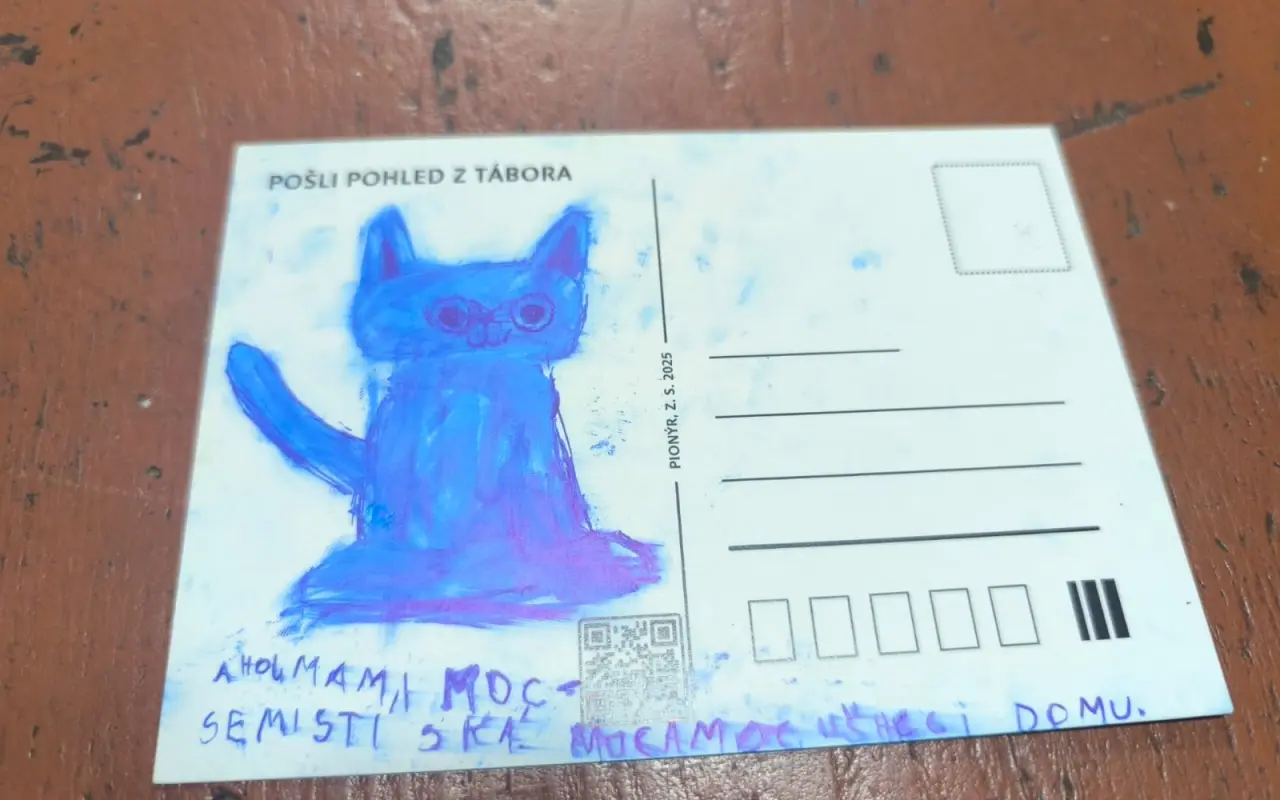 Pomohli jste nemocné Denise s péčí o syny