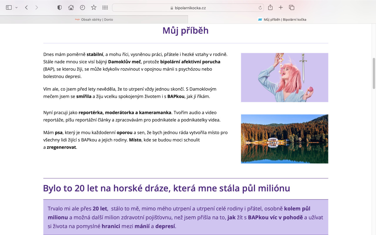 Podpořme blog Bipolární kočka - pomoc nemocným s maniodepresí