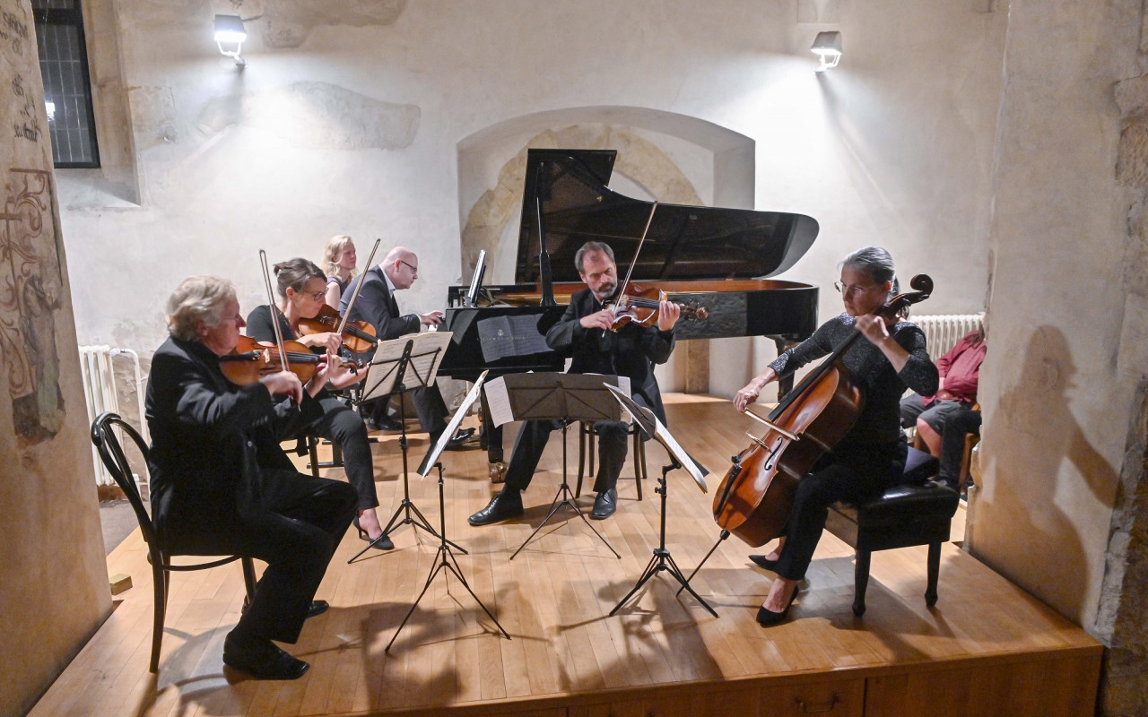 Podpořme společně Mezinárodní hudební festival Americké jaro #kulturažije