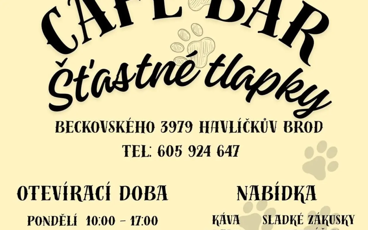 Pojďme dát kočičkám druhou šanci, obnovme kočičí kavárnu café & bar Šťastné tlapky