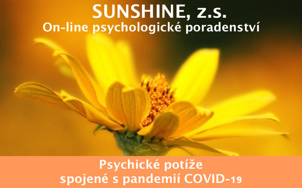 Psychologické poradenství on-line v rámci pandemie Covid-19