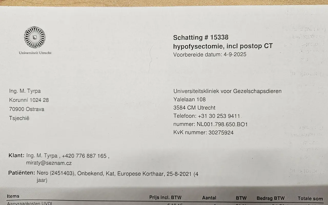 Pomohli jste Nerovi v boji s nádorem