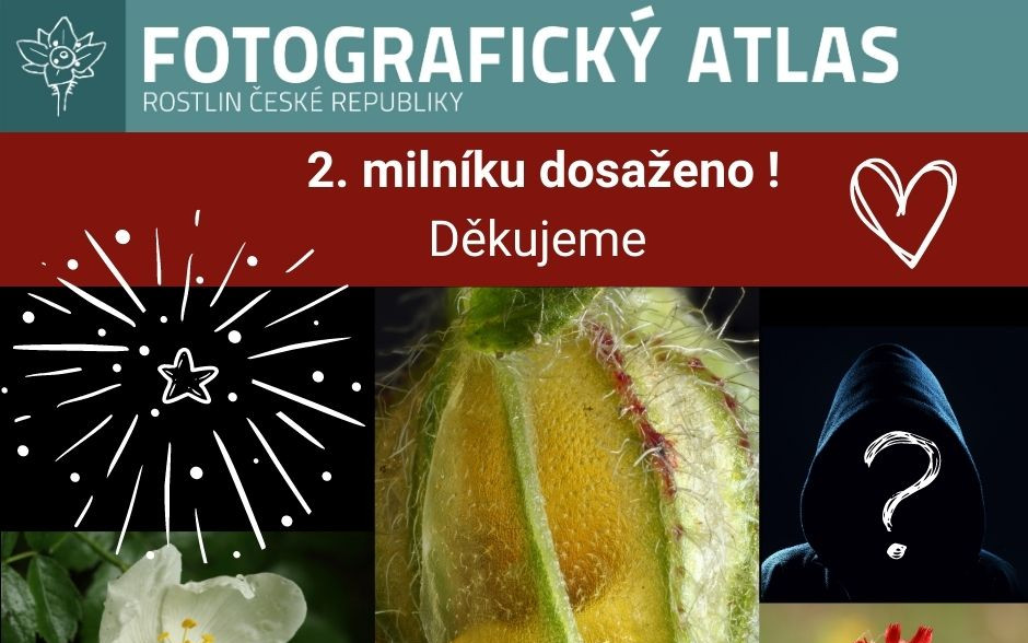 Fotografie všech českých rostlin v jedné KNIZE? Pojďme to dotáhnout!