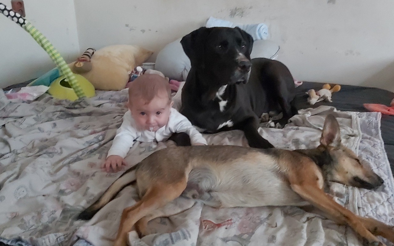 Složili jste se na pomoc pro Jacka k úhradě operace