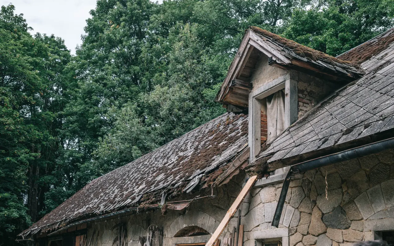 Podpořili jste Plášilovu novou střechu