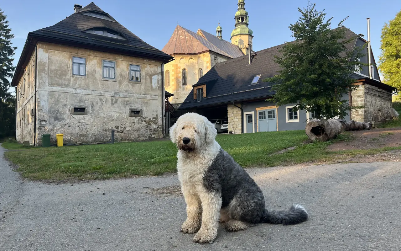 Záchrana nejstaršího kostela Broumovska- kostela Nejsvětější Trojice ve Zdoňově