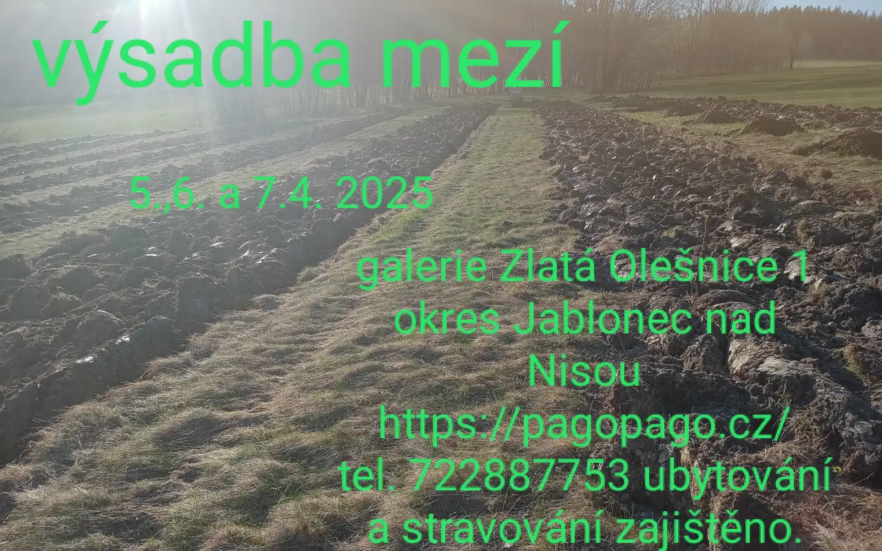 Podpořte Galerii 21