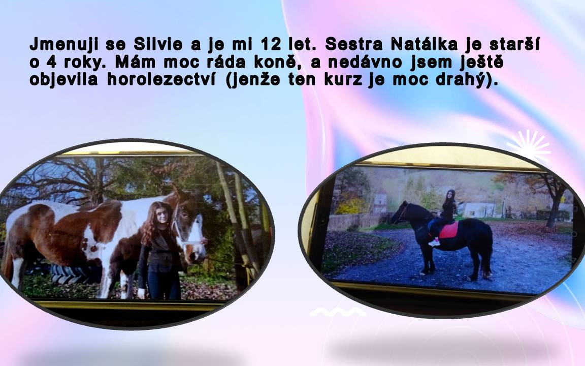 Vraťme Silvince úsměv