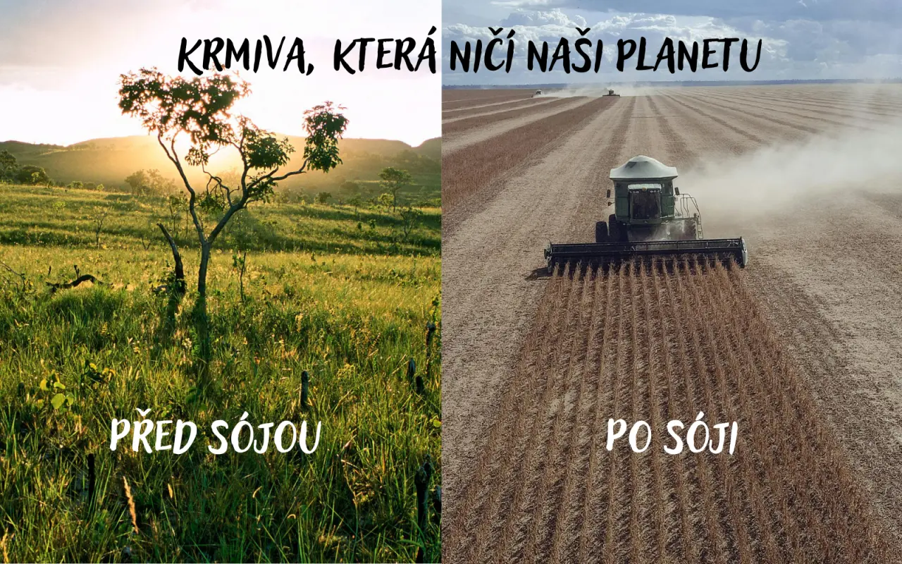 Podpořili jste studenty na finále nejprestižnější biotech soutěže na světě