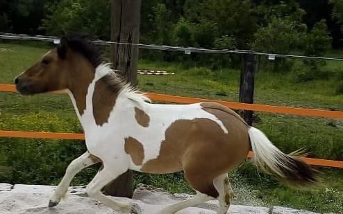 Pomohli jste Rikymu