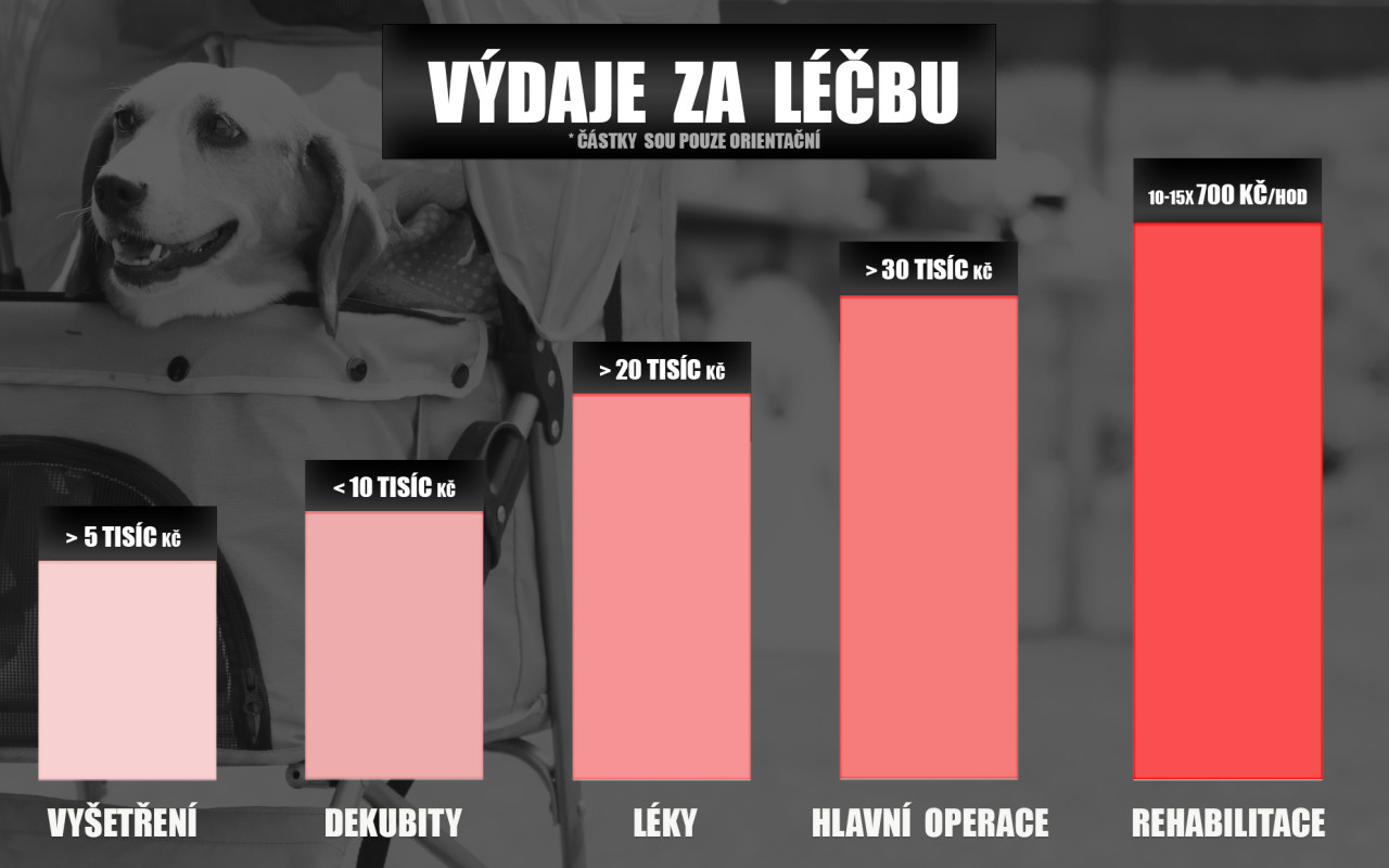 Pomohli jste Bobince k lepšímu životu