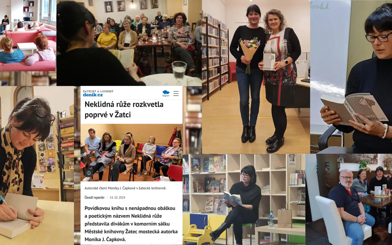 Vydejte s námi knihu Tajemný soused - román, který pomáhá tam, kde byste to možná nečekali