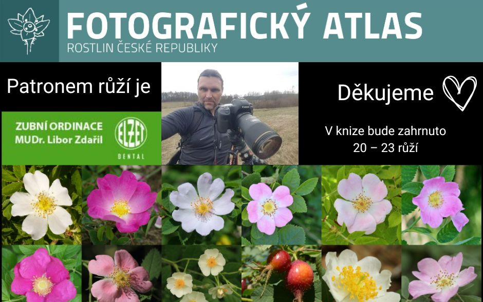 Fotografie všech českých rostlin v jedné KNIZE? Pojďme to dotáhnout!