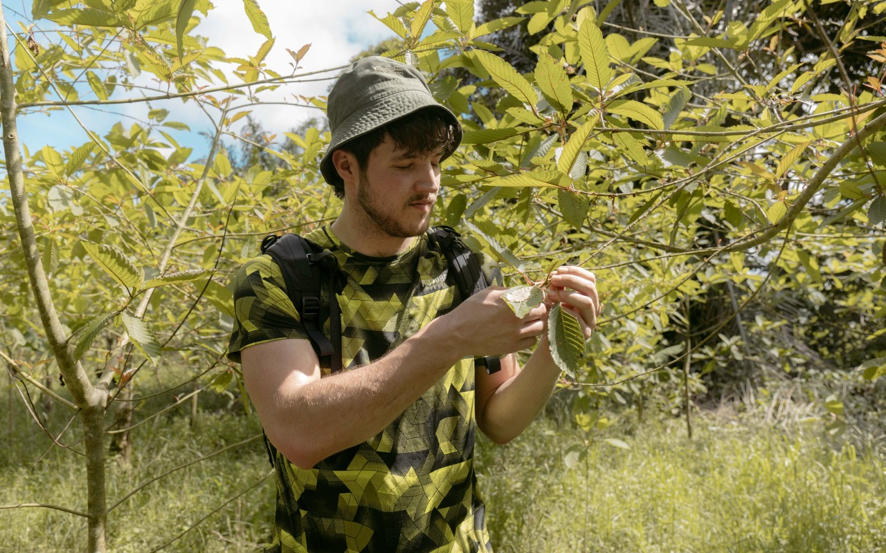 Podpořili jste dokumentární film o účincích a rizicích kratomu