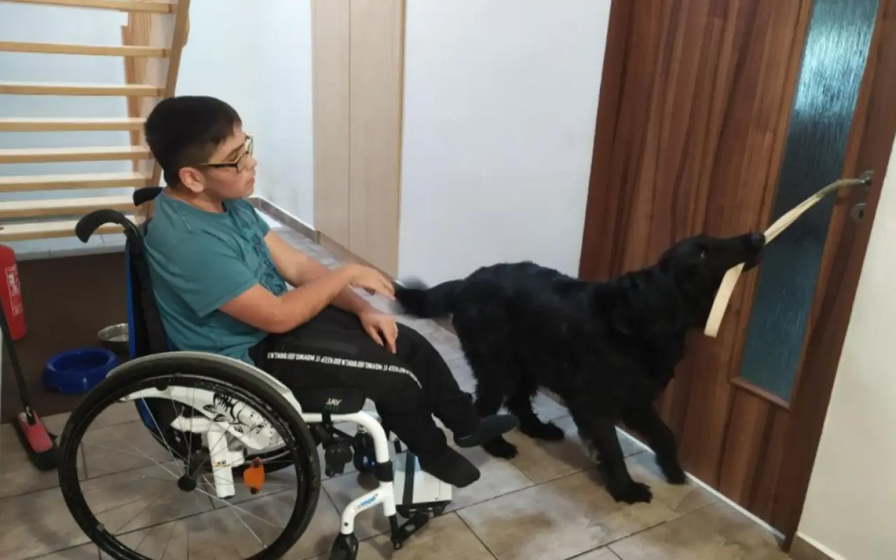 Podpořili jste výcvik asistenčního psa pro Petra