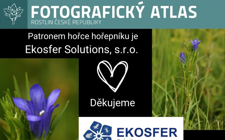 Fotografie všech českých rostlin v jedné KNIZE? Pojďme to dotáhnout!
