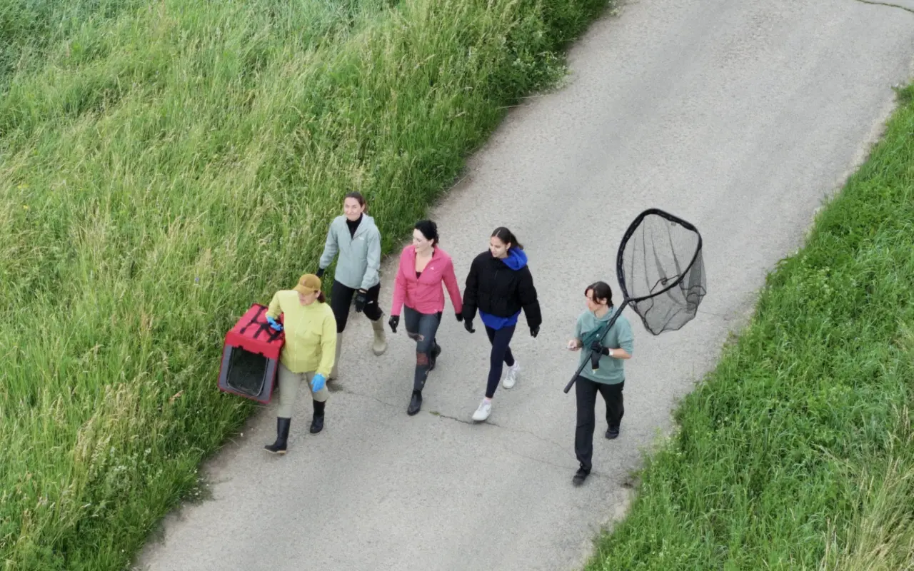 STOP sečení srnčat Olomoucko-Hranicko