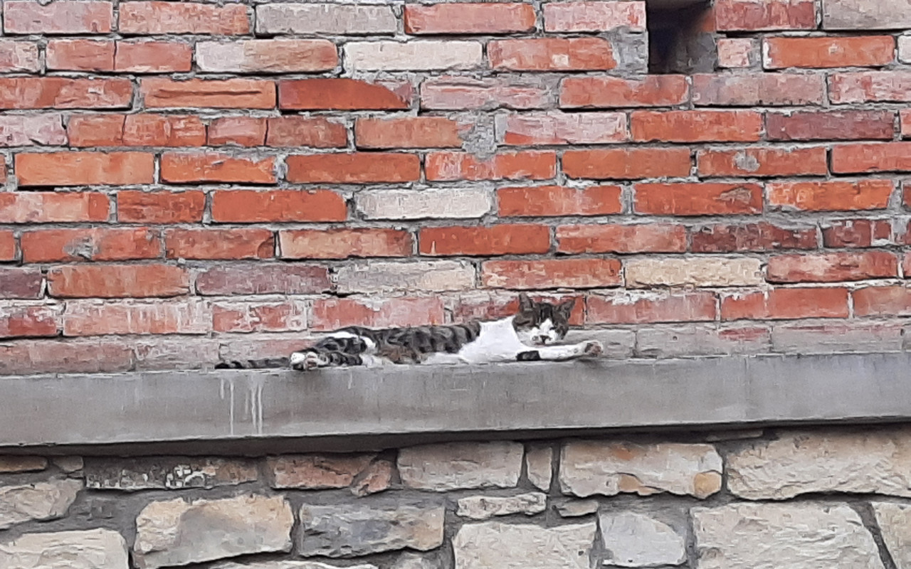 3 dobré skutky v 1 pomoci