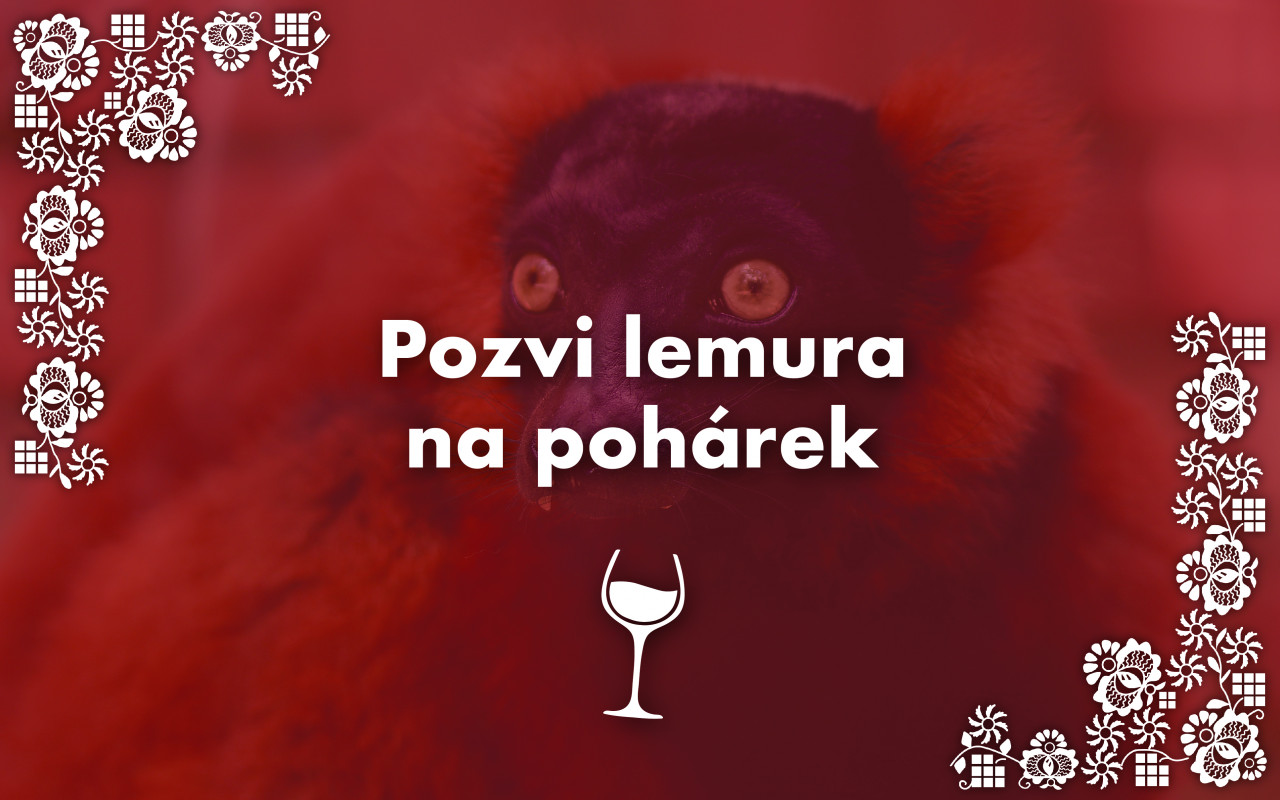 Podpořili jste zvířata ze Zoo Hodonín
