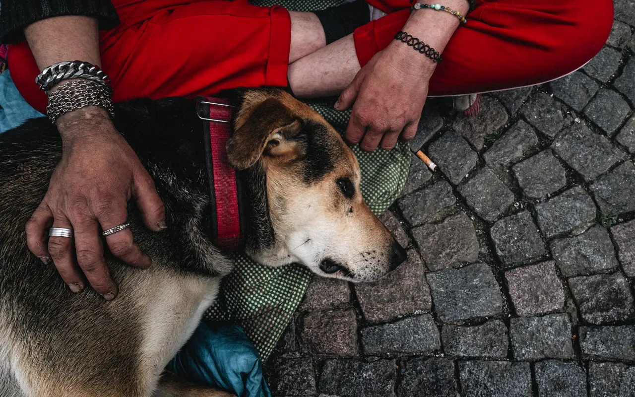 Podpořili jste knihu a výstavu VERUM PHOTO – ELEMENT