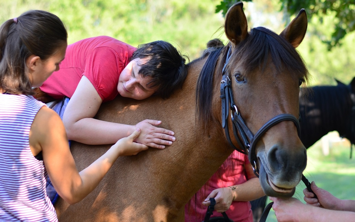 „Pohoda v pohodě“ -  důchod a welfare pro huculku Pohodu