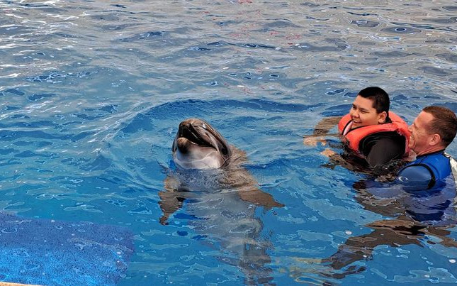 Naděje pro Zdenečka - delfinoterapie, neurorehabilitace