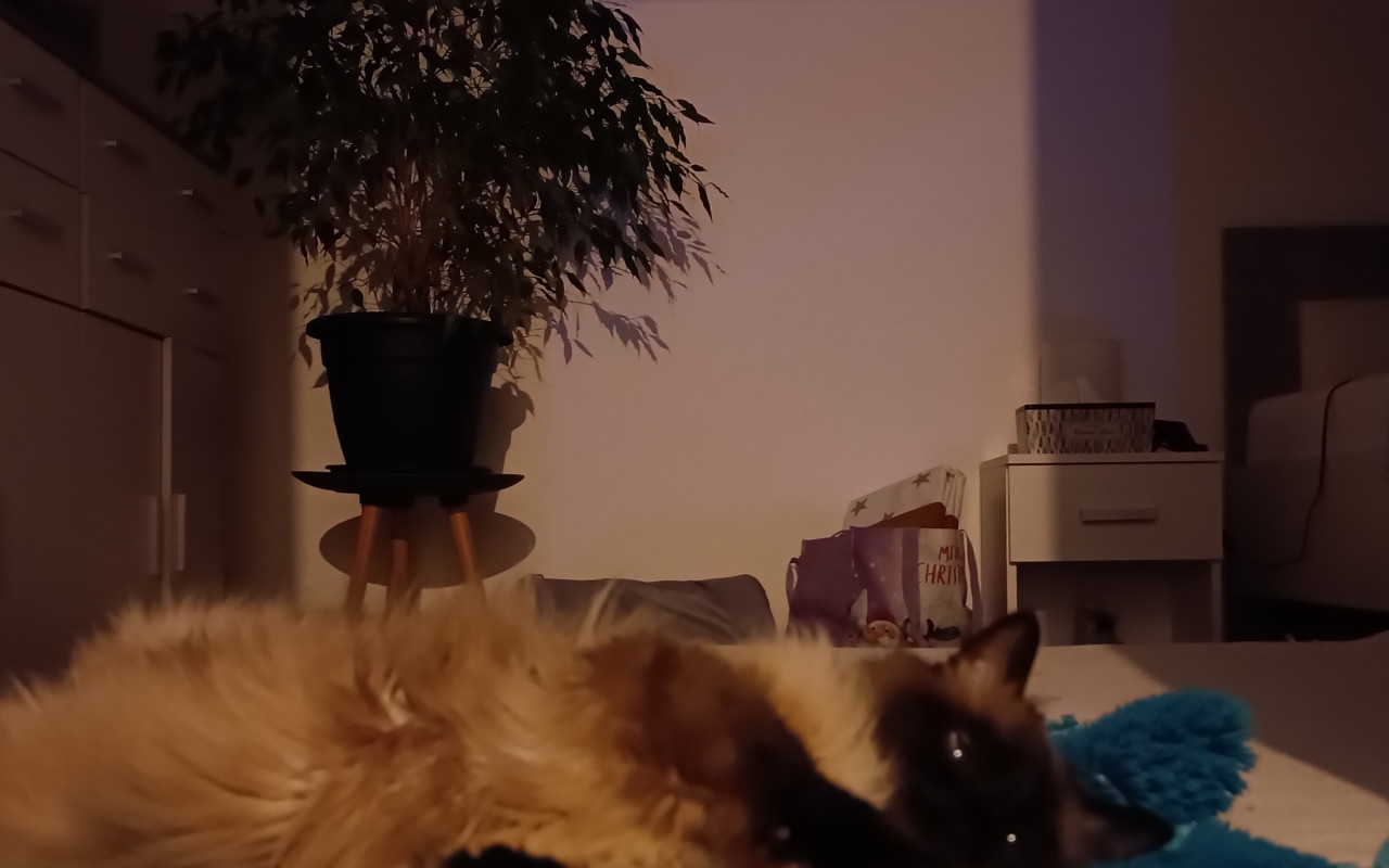 Pomohli jste Mikymu