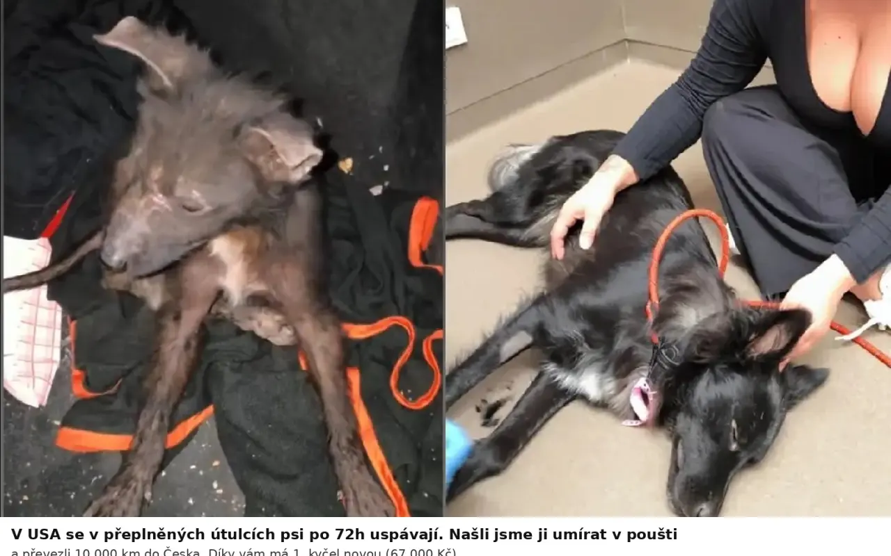 Ari přežila poušť. Teď ji ničí bolest...