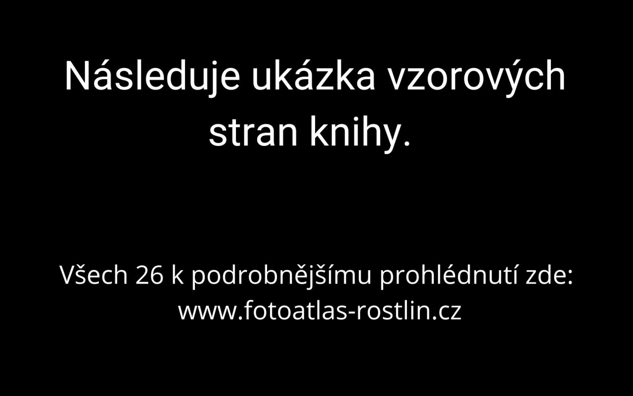 Fotografie všech českých rostlin v jedné KNIZE? Pojďme to dotáhnout!