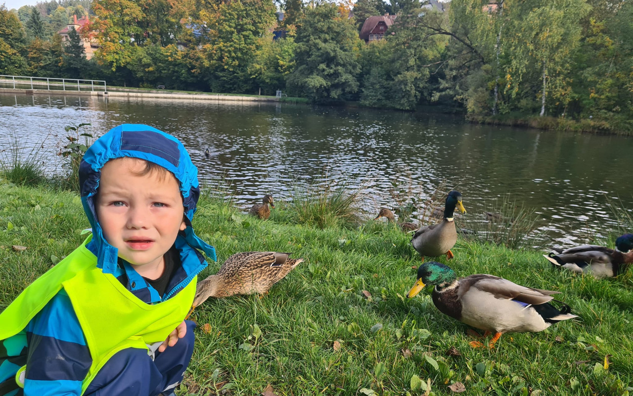 Přispěli jste na opravu zoubků