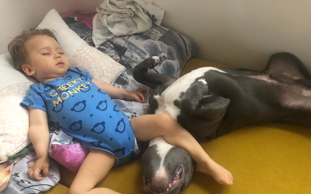 Dodali jste Davídkovi naději na lepší zítřky