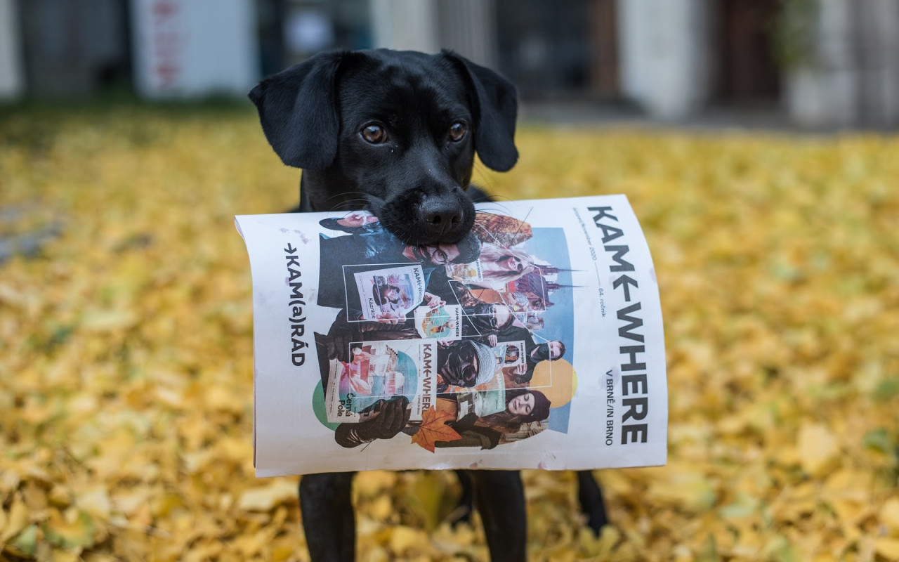 Podpořili jsme společně časopis KAM v Brně a redakci Pocket Media #kulturažije