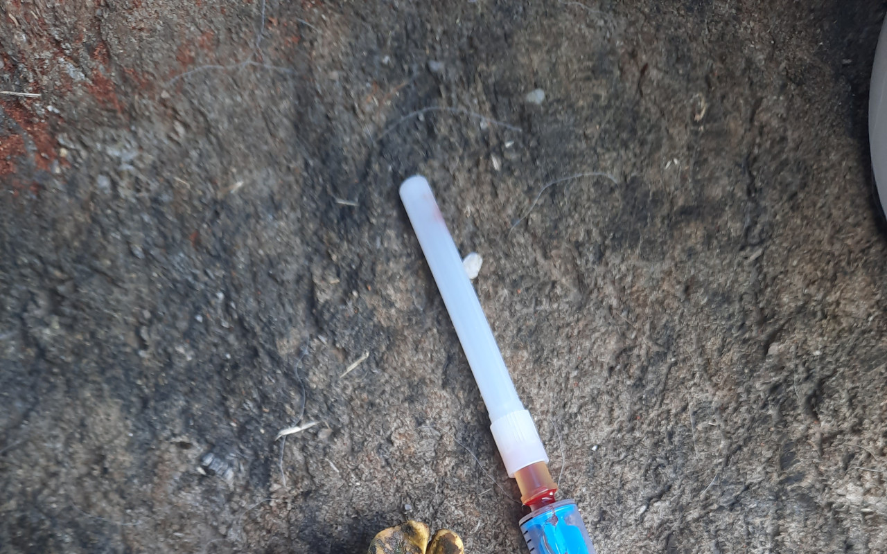 Dali jste šanci na život poníkovi Macíkovi