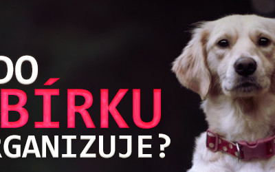 Pomozme spolku PES nejvěrnější přítel vybudovat Azyl pro zachráněné psy