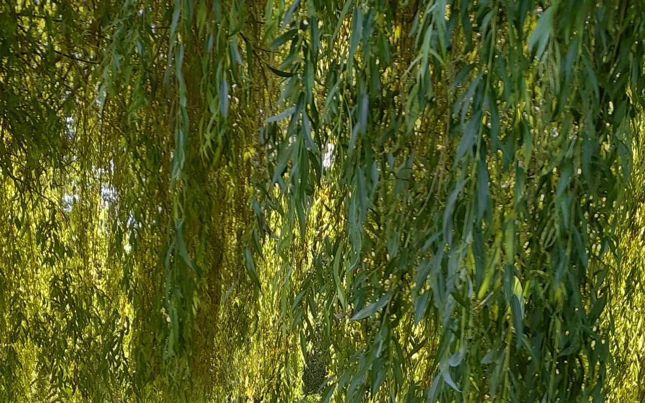 Pomohli jste Štěpánce udělat velký posun