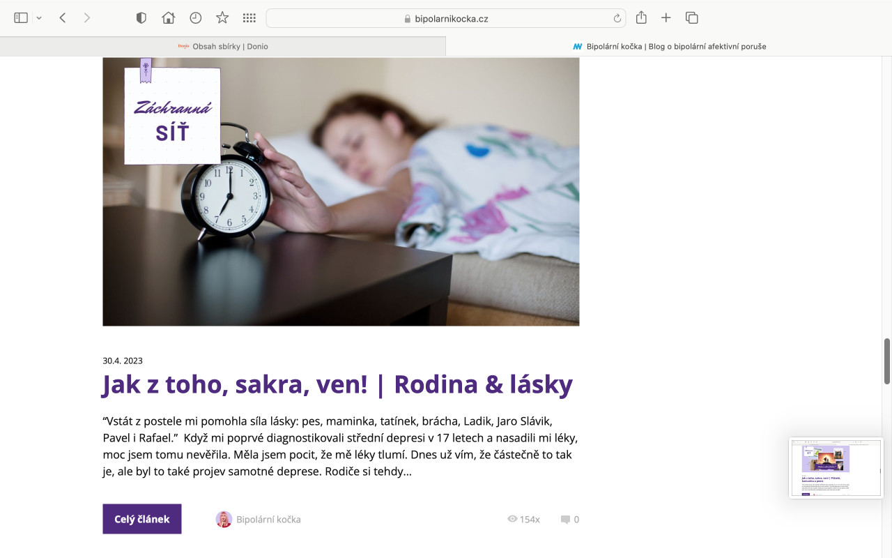 Podpořme blog Bipolární kočka - pomoc nemocným s maniodepresí