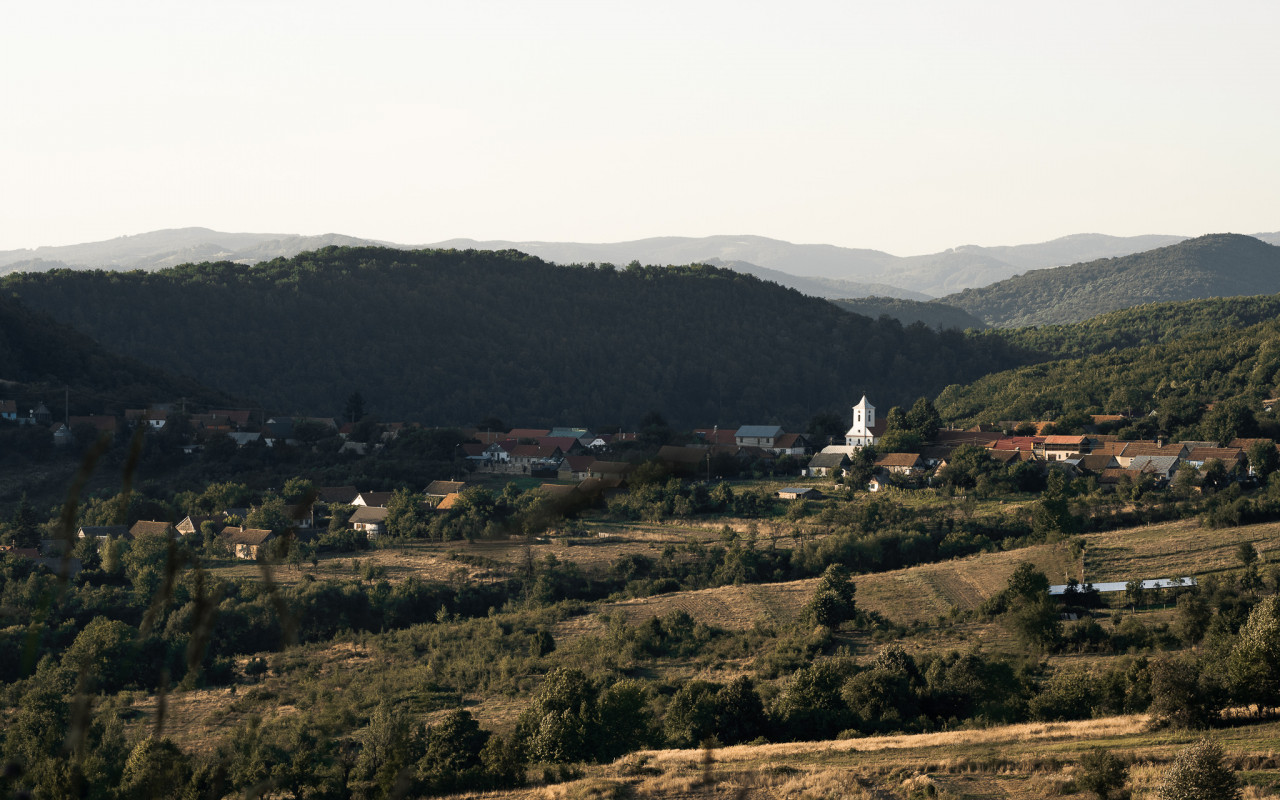 Rybovka v Banátu