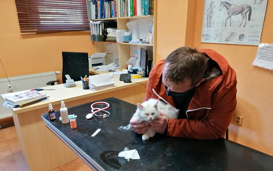 Záchrana azylového domu Nazdárek pro nechtěná a nemocná zvířátka