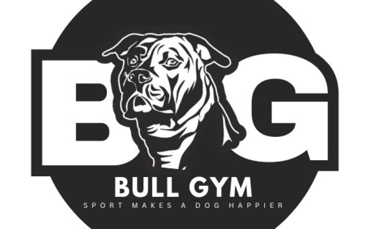 Pomozte nám vytvořit Bullgym - tělocvičnu pro psy