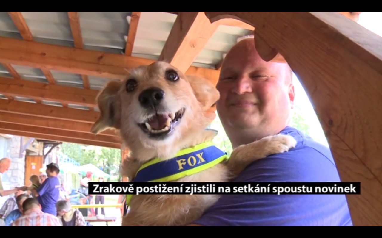 Canisterapie CANTES v krajích ČR jako sociální rehabilitace