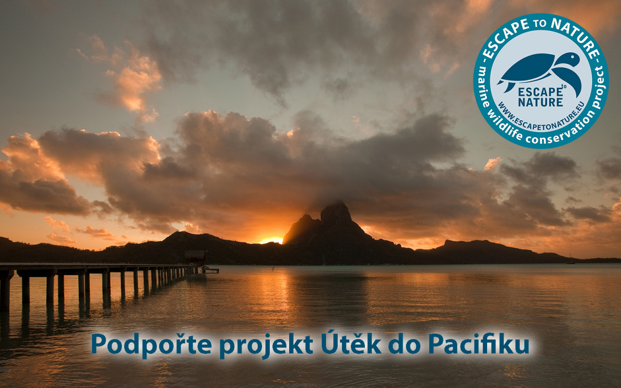 Útěk do Pacifiku - Papua Nová Guinea