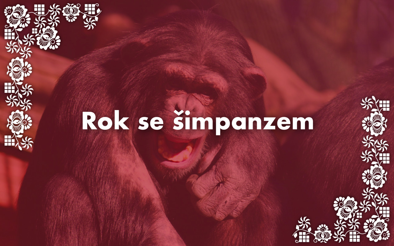 Podpořili jste zvířata ze Zoo Hodonín