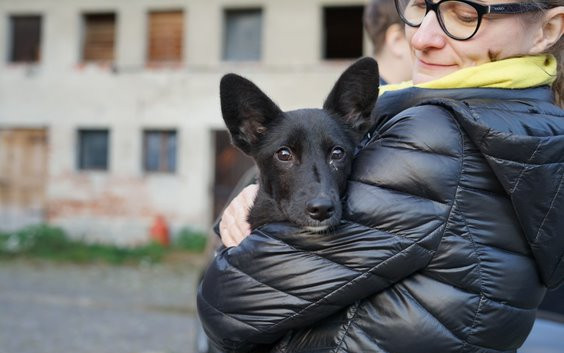 Prostory Handipet se rozpadají pod rukama