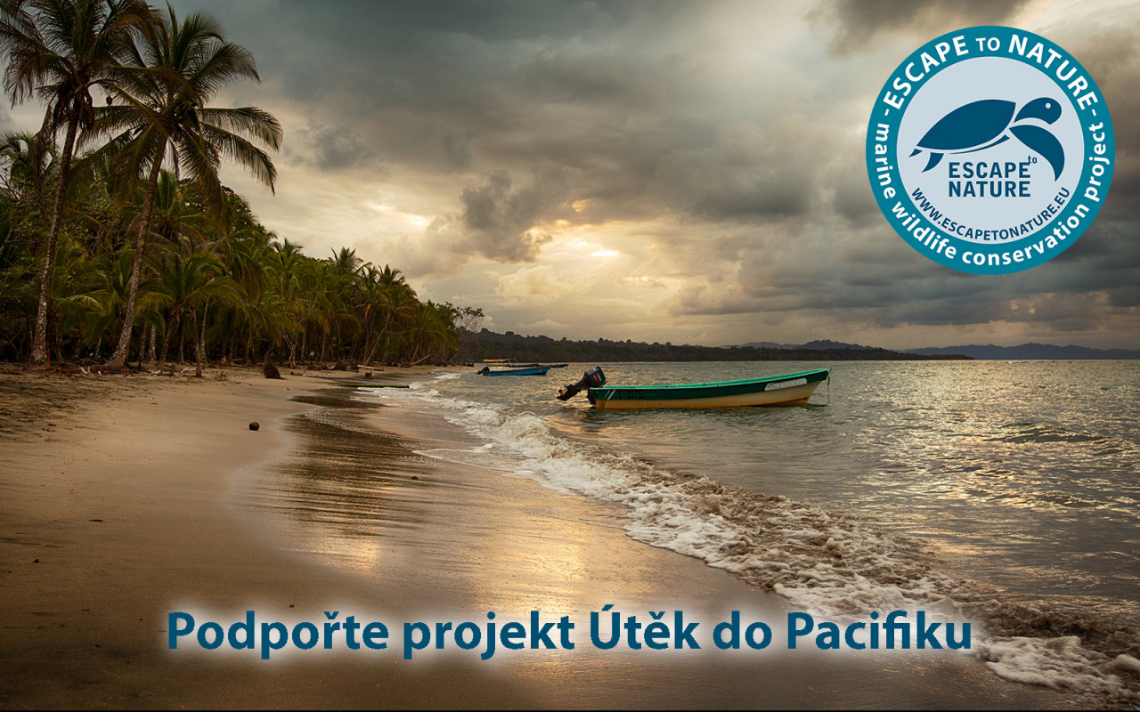 Útěk do Pacifiku - Papua Nová Guinea