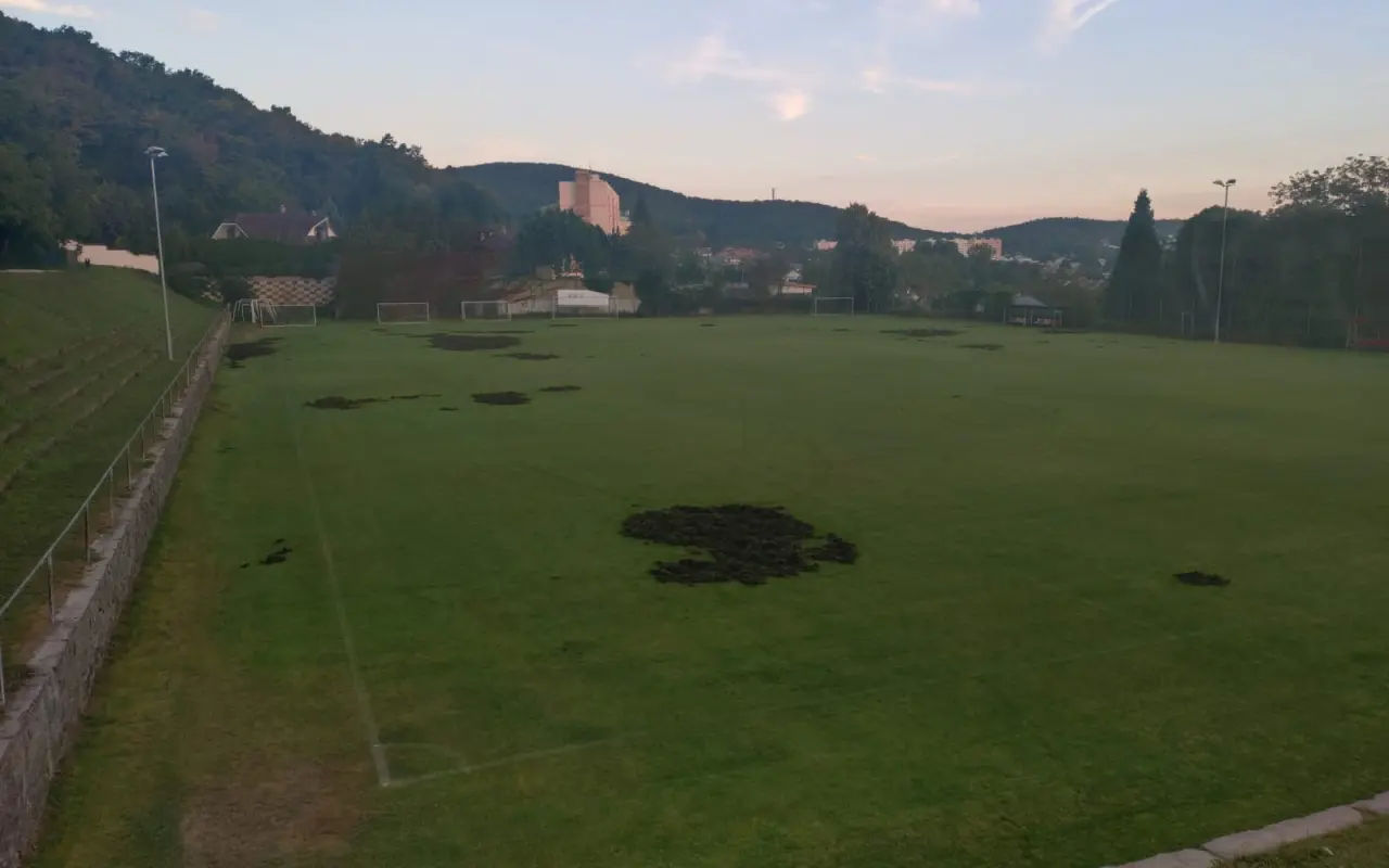 Oplocení fotbalového hřiště proti divokým prasatům