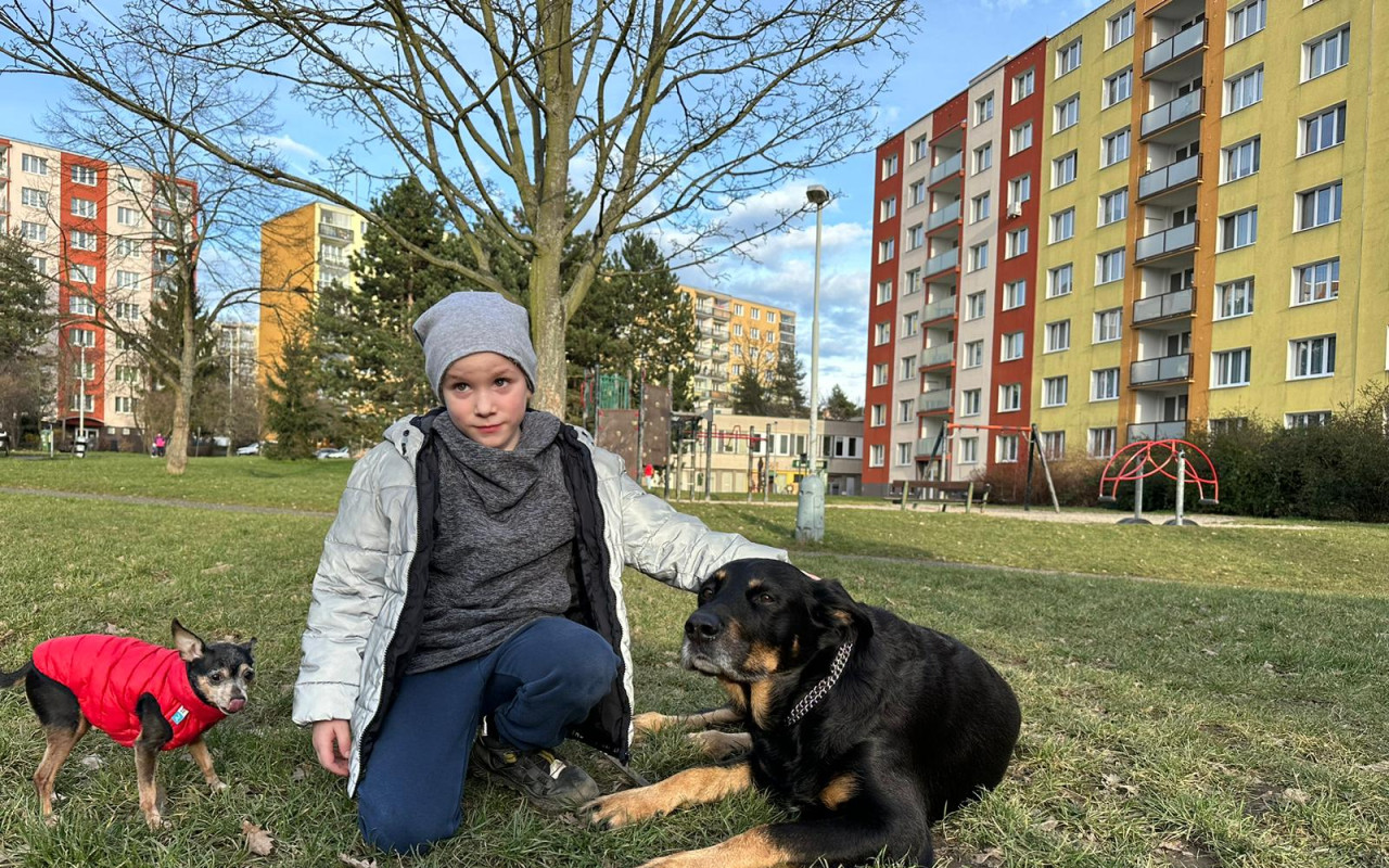 Aron štěká o pomoc s léčbou