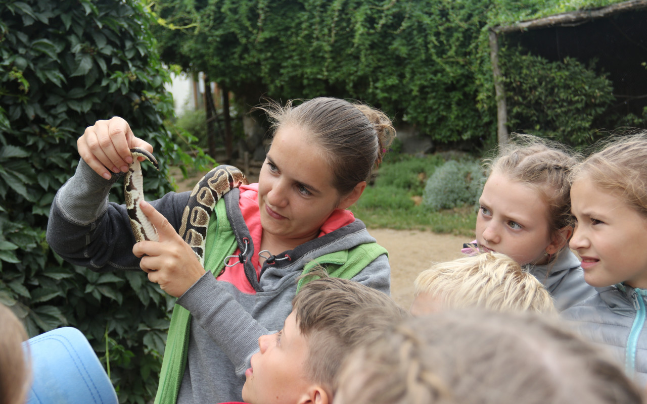 Naplnili jste misky zvířátkům v Zoopaku Zájezd