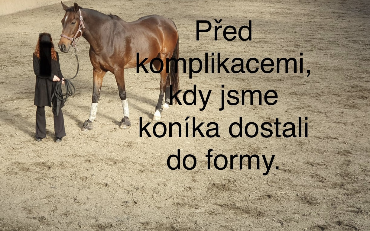 Důstojný život a operace pro koně