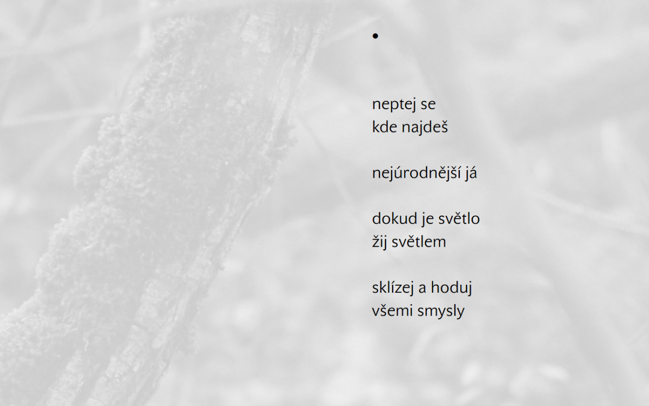 Kniha básní: Mnohé řeky